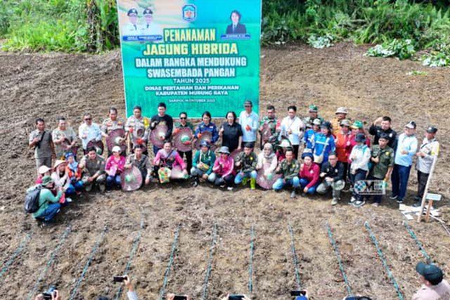 Bentuk Dukungan Pemerintah Wujudkan Swasembada Pangan, Bupati Mura Hadiri Tanam Jagung Hibrida