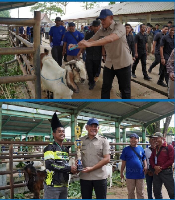 Bupati H Rahmat Trianto Tegaskan Pasar Hewan Pelaihari Harus Berdaya Saing