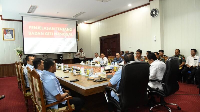 Wagub Kalteng Terima Audiensi Deputi BGN Bahas Program MBG