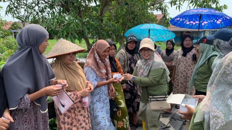 DPPKBP3A Bersama Puspaga Ije Jela Batola Gelar Kegiatan Trauma Healing dan Pelayanan KB di Desa Antasan Segara