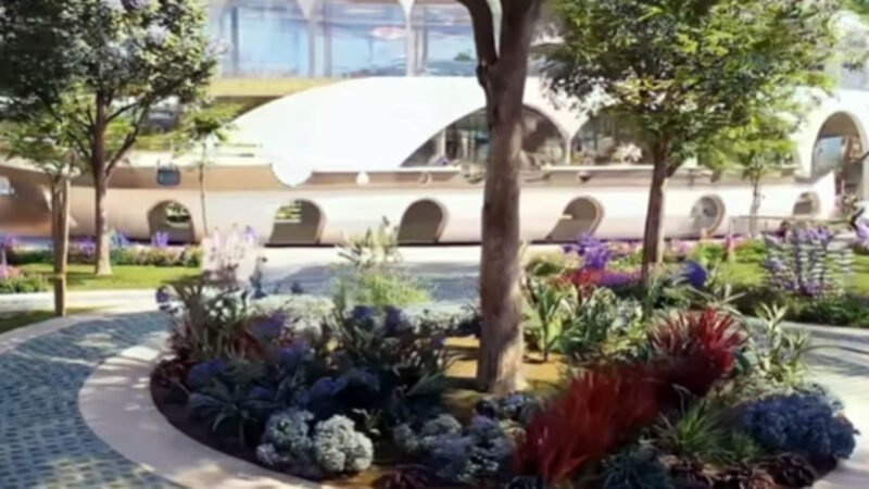 Di Bawah Kepemimpinan Gubernur dan Wakil Gubernur Kalteng, Eks Lahan Disnakertrans Bertransformasi Jadi RTH