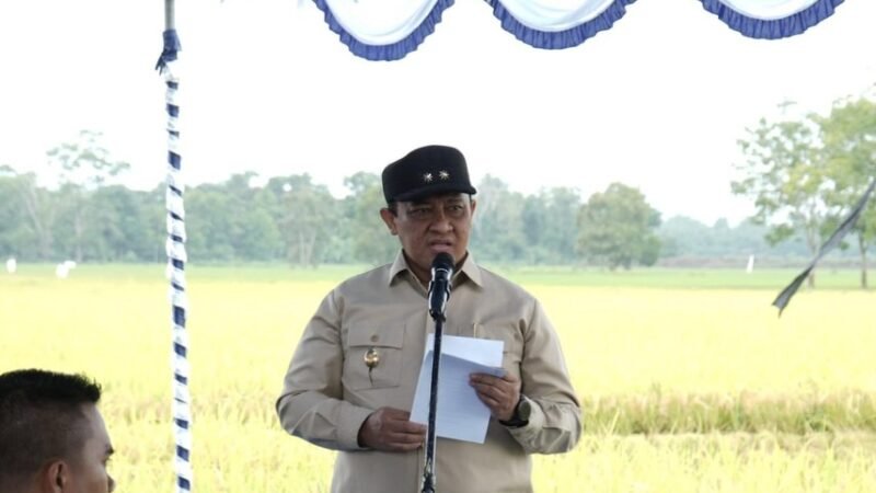 Wabup Edy Pratowo Tegaskan Pentingnya Kolaborasi Semua Pihak Sukseskan Program Ketahanan Pangan di Kalteng