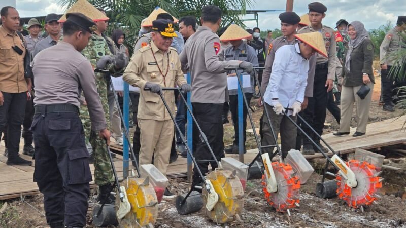 Dukung Target Swasembada Pangan Presiden, Gubernur Kalteng Ikuti Tanam Jagung Serentak Kuartal I