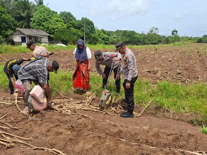 Kapolsek Sebut Penanaman Jagung di Lahan Poktan Sejahtera Bersama Bentuk Dukungan Program Ketahanan Pangan