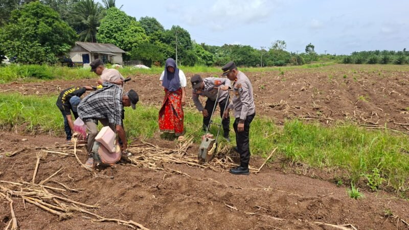 Kapolsek Sebut Penanaman Jagung di Lahan Poktan Sejahtera Bersama Bentuk Dukungan Program Ketahanan Pangan