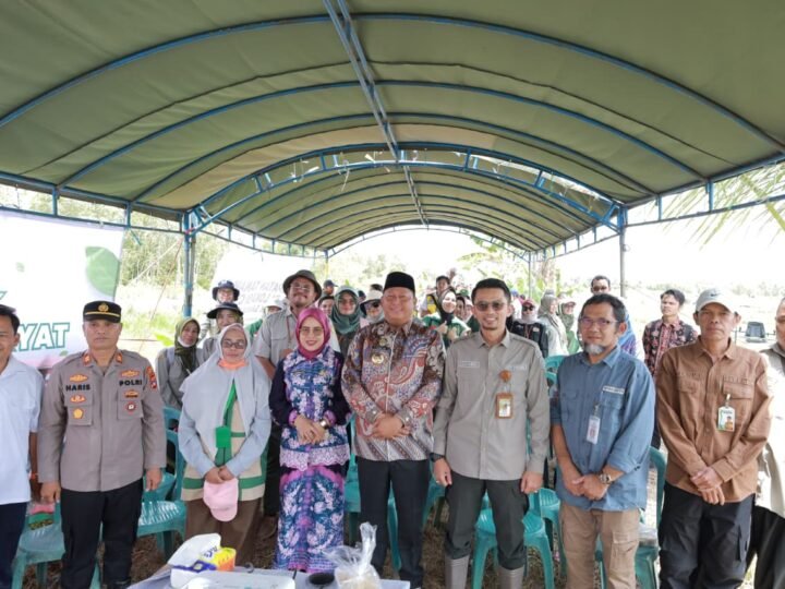 Pemkab Batola Bersama Kementan Laksanakan Gerakan Tanam Serempak di Desa Puntik Dalam