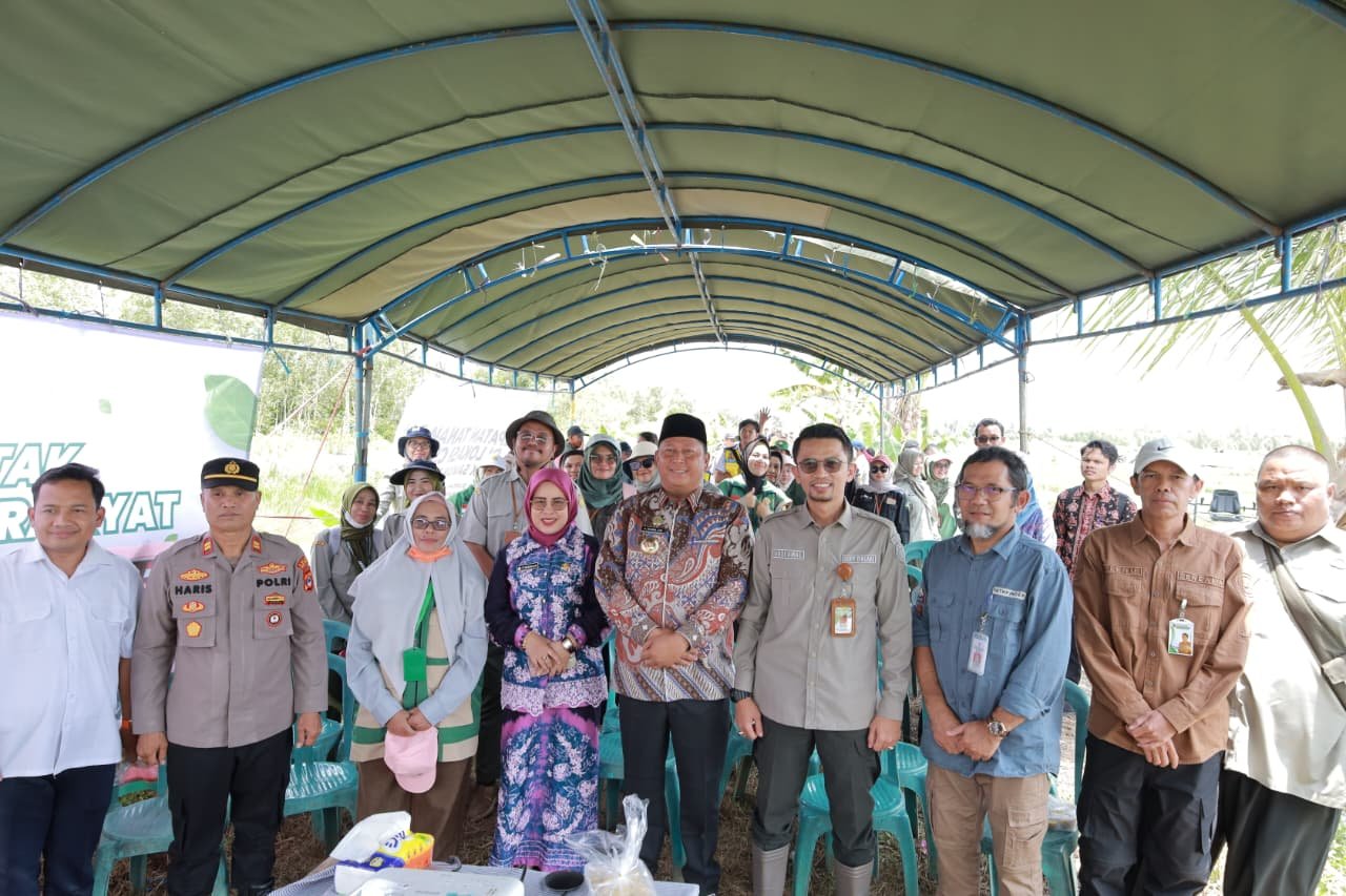 Pemkab Batola Bersama Kementan Laksanakan Gerakan Tanam Serempak di Desa Puntik Dalam