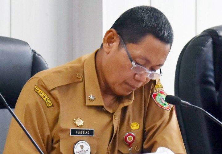 Hadiri Rakor Bersama Kemendagri, Pemprov Kalteng Perkuat Sinergi Pengendalian Inflasi