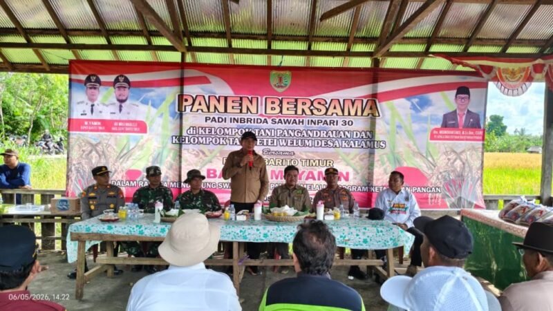 Bupati Muhammad Yamin Panen Padi Bersama Warga Kalamus