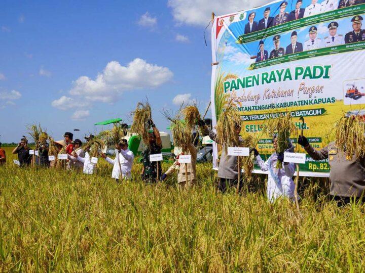 Laksanakan Panen Raya, Gubernur Tegaskan Komitmen Pemprov Kalteng Dorong Kemajuan Sektor Pertanian