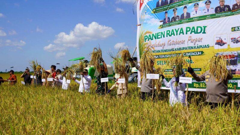 Laksanakan Panen Raya, Gubernur Tegaskan Komitmen Pemprov Kalteng Dorong Kemajuan Sektor Pertanian