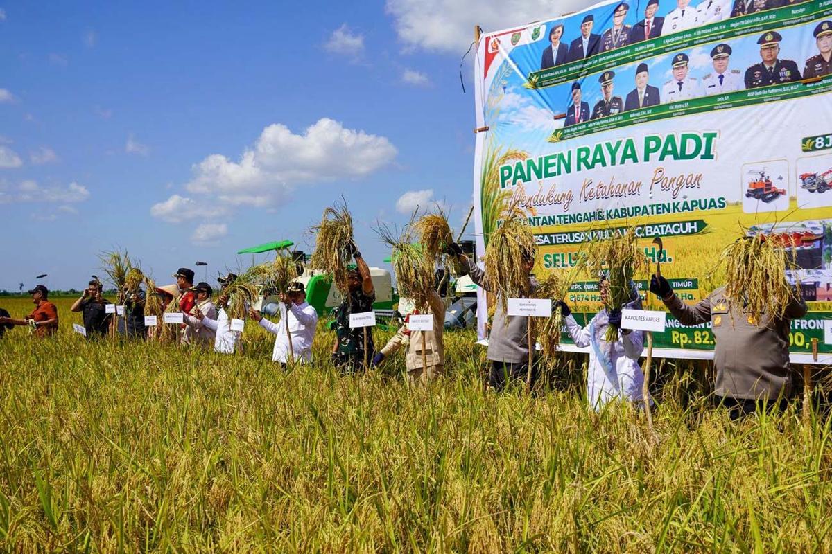 Laksanakan Panen Raya, Gubernur Tegaskan Komitmen Pemprov Kalteng Dorong Kemajuan Sektor Pertanian
